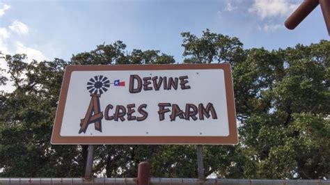 devine acres farm reviews